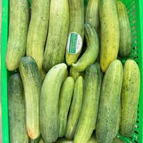 Rau Cải Ngọt Hữu Cơ